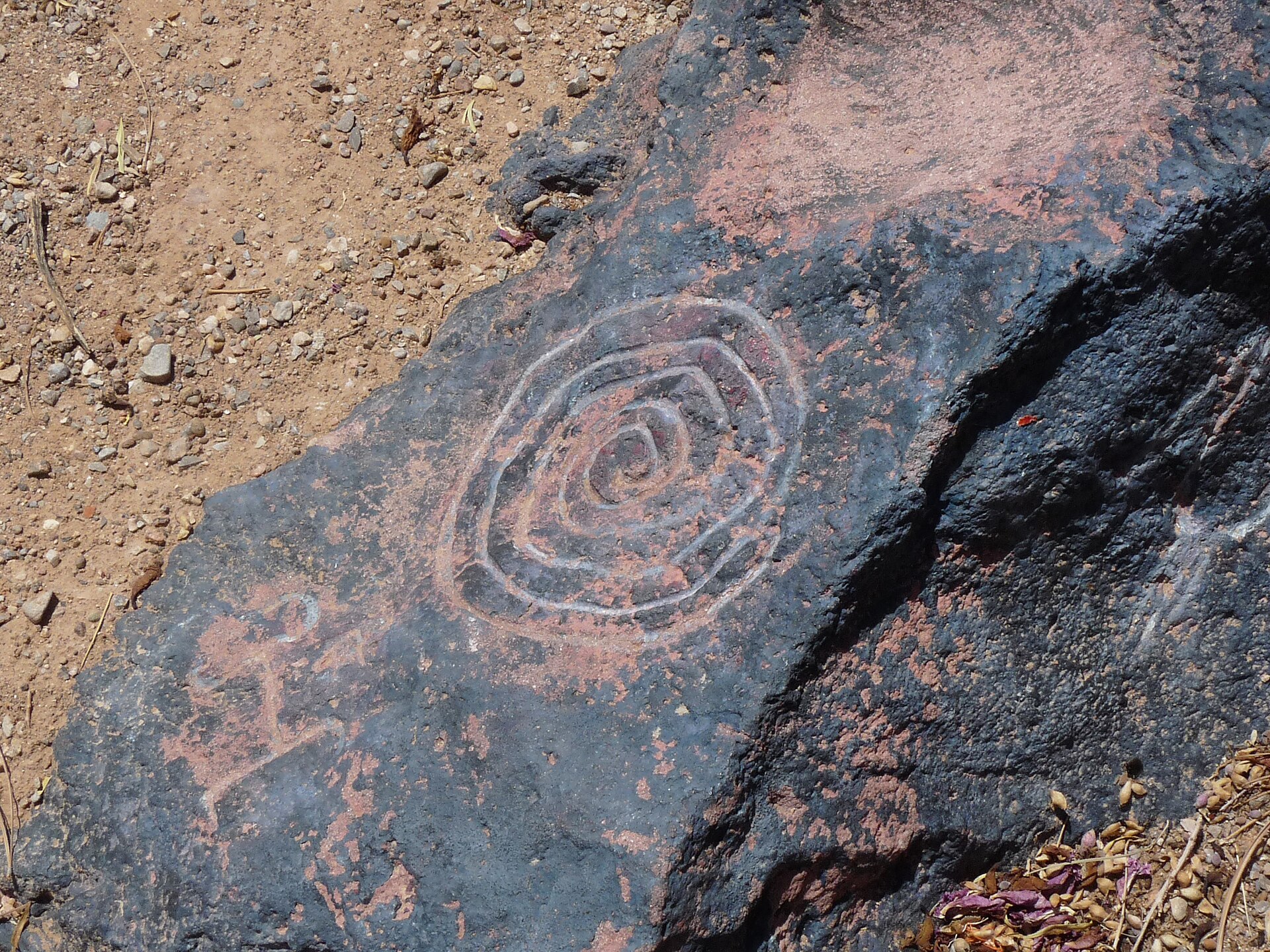 Etched volcanic boulder with prehistoric petroglyphs