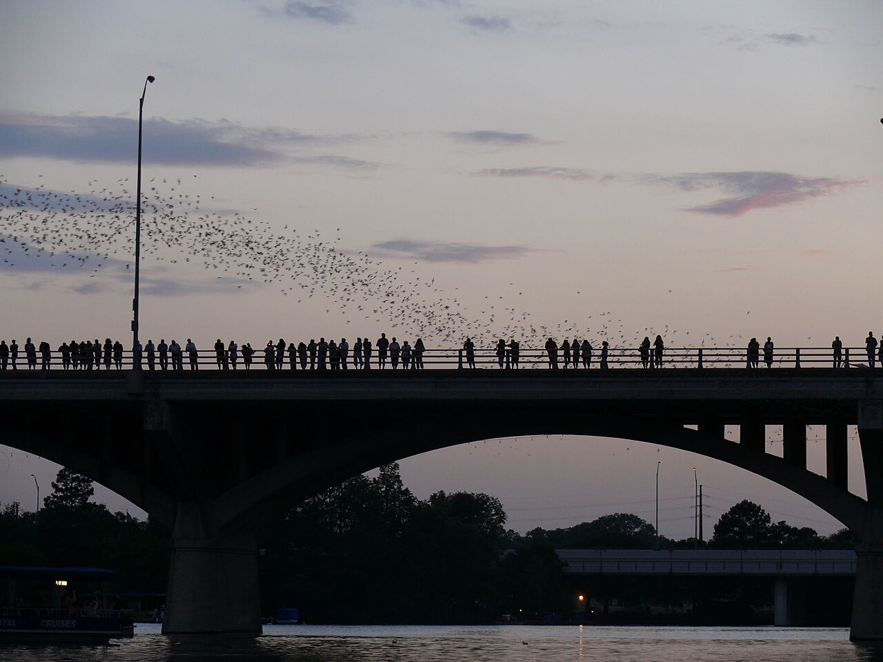 The Congress Avenue Bridge over Lady Bird Lake