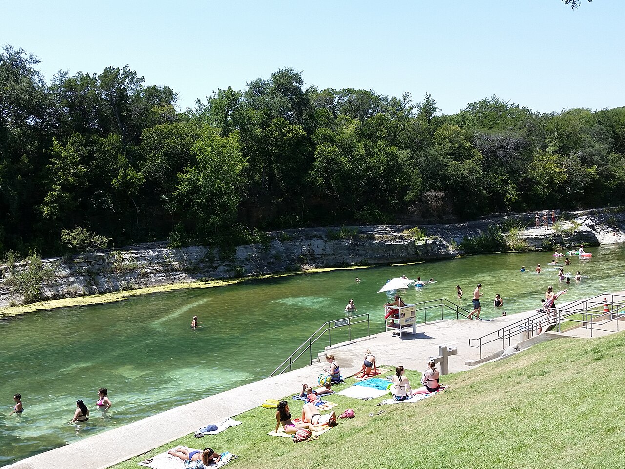 People swimming in Barton Springs Pool